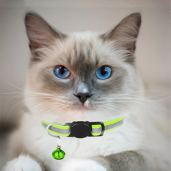 Collier pour chat anti-étranglement à bande réfléchissante