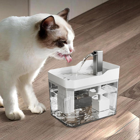 Fontaine à eau silencieuse 1,5 L pour chat