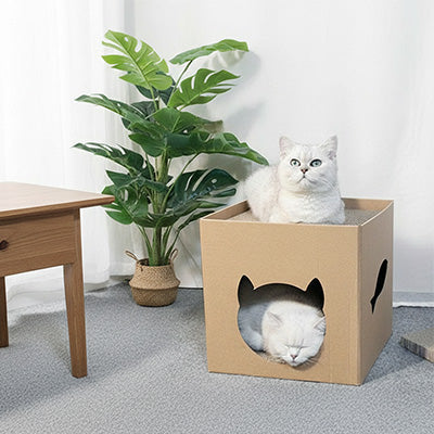 Maison en carton pour chat avec griffoir