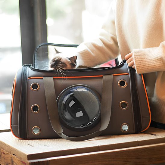 Sac de transport pour chat avec hublot transparent et mailles d’aération