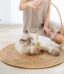 Tapis griffoir pour chat posé au sol